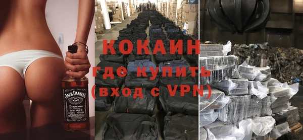 индика Сатка