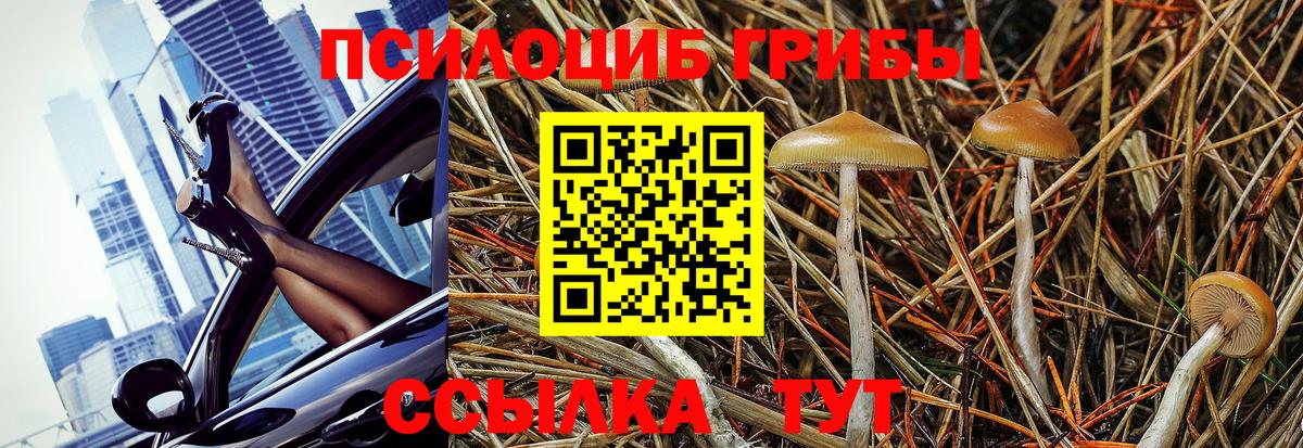 Галлюциногенные грибы MAGIC MUSHROOMS  продажа наркотиков  Псилоцибиновые грибы GOLDEN TEACHER  Горячий Ключ 