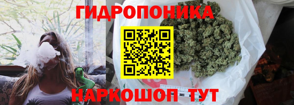 Каннабис гибрид Горячий Ключ
